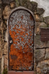 勇気を出して触ってみる・・・