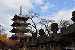 東照宮から塔を望む