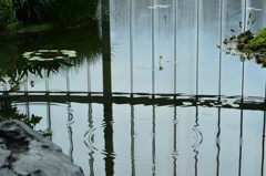 大温室