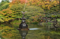 ちょっぴり秋