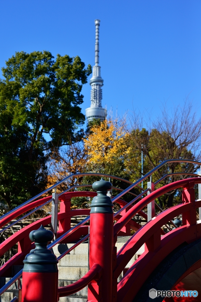 太鼓橋を渡って