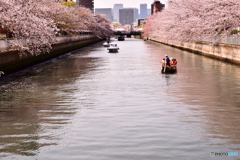 大横川