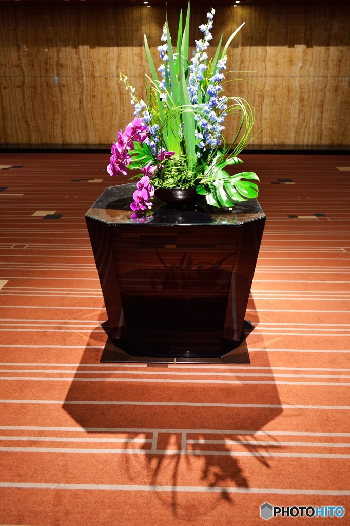 実像と影とその虚像