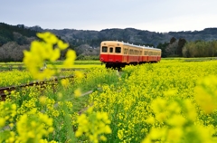 小湊鉄道2