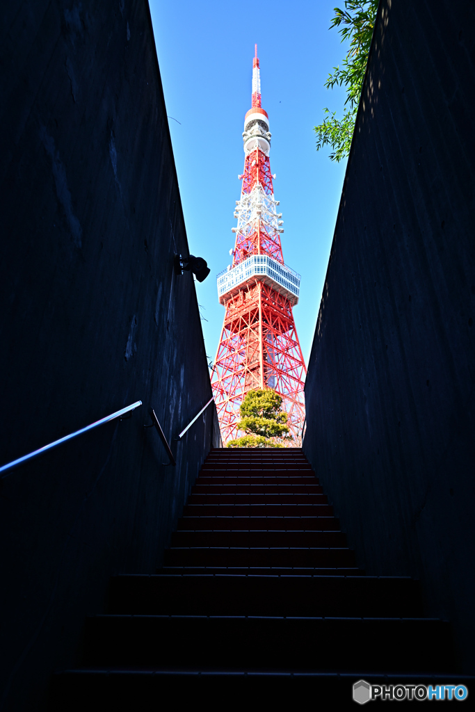 東京タワー