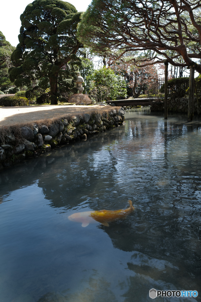 土日はお休み・・・