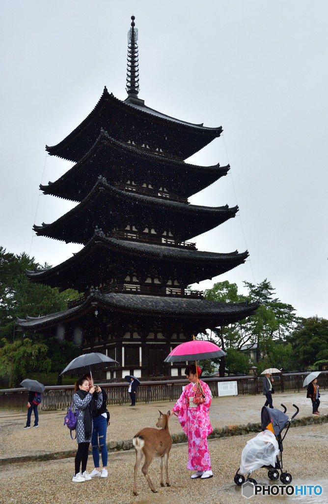 雨の五重塔