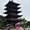 雨の五重塔