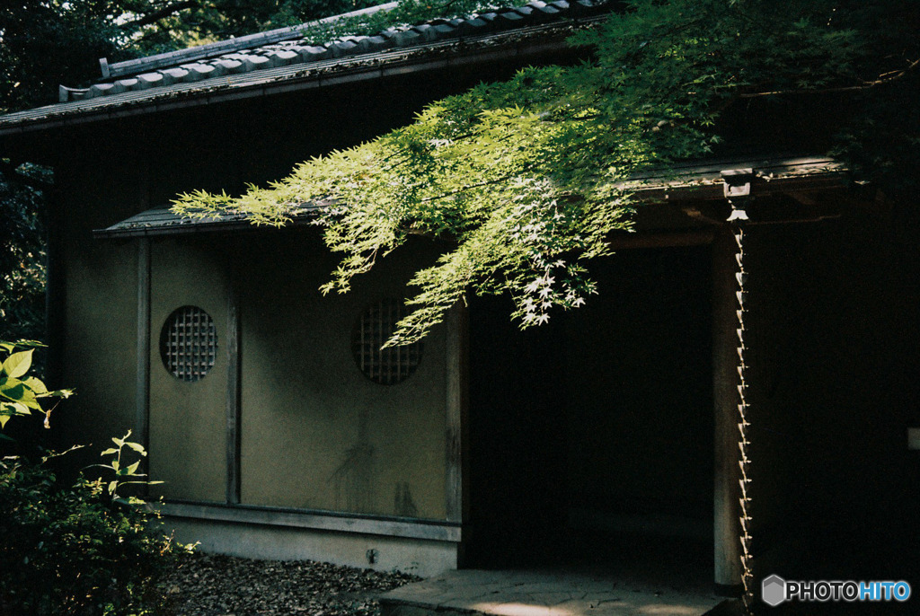 東大の茶室