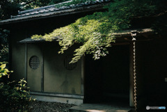 東大の茶室