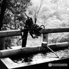 等々力不動尊4