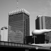 盛り沢山にギュッと