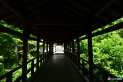 緑の橋廊