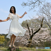 湖畔の桜