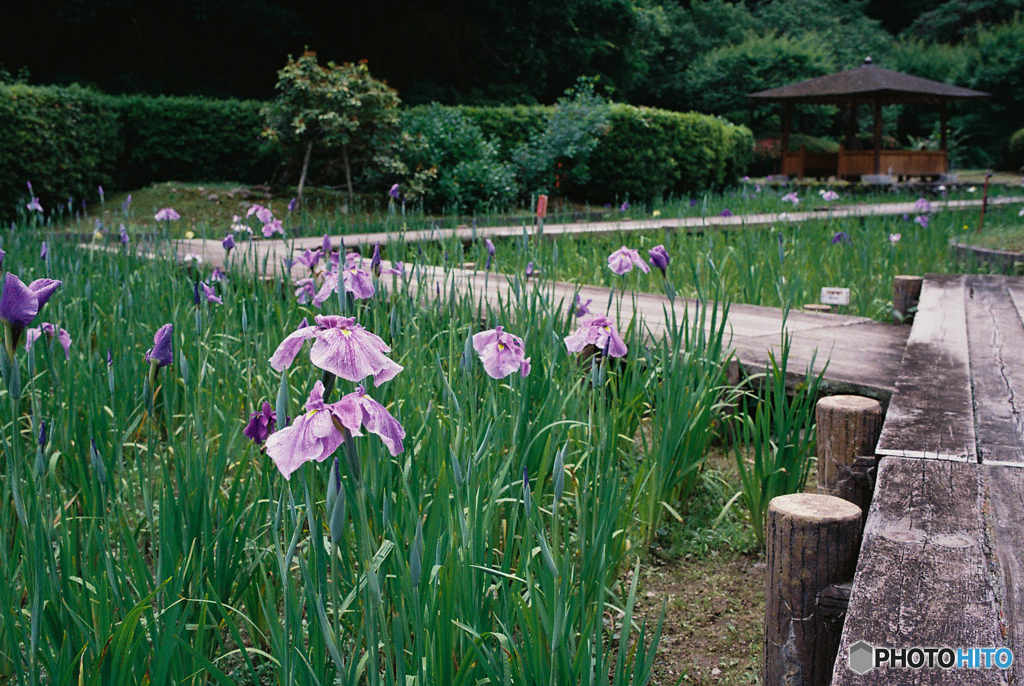 西山公園