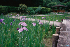 西山公園