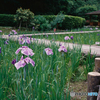 西山公園