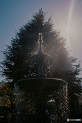 港の見える丘公園4