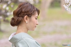 桜と着物べっぴんさん４