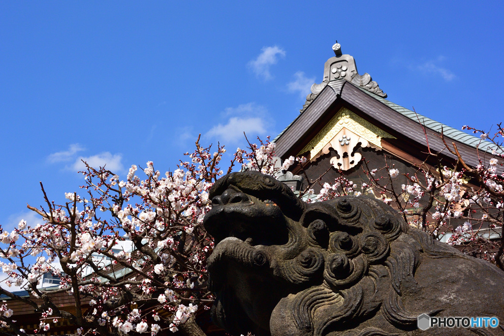 湯島天神４