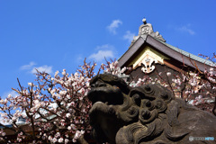 湯島天神４