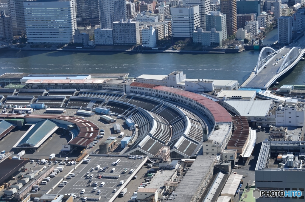 移転用の橋も出来てきた