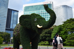 吉宗ゆかりの象