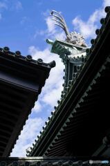 湯島聖堂2