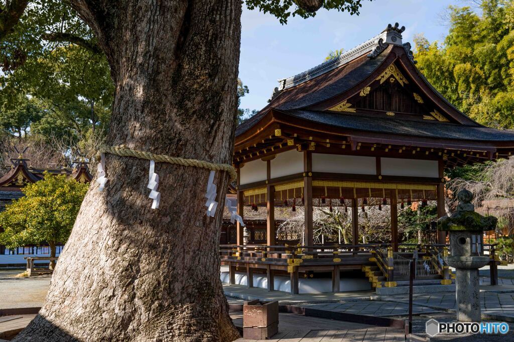 平野神社4