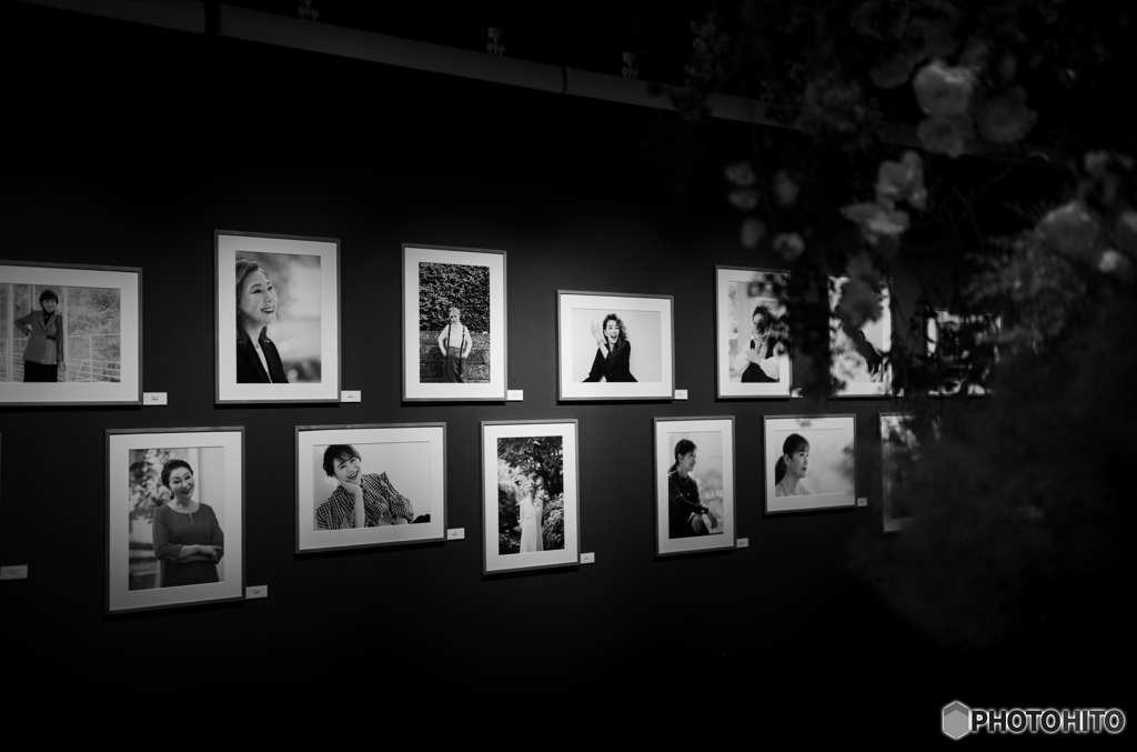 CANON GALLERY