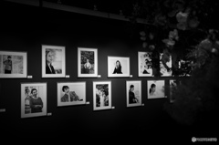 CANON GALLERY