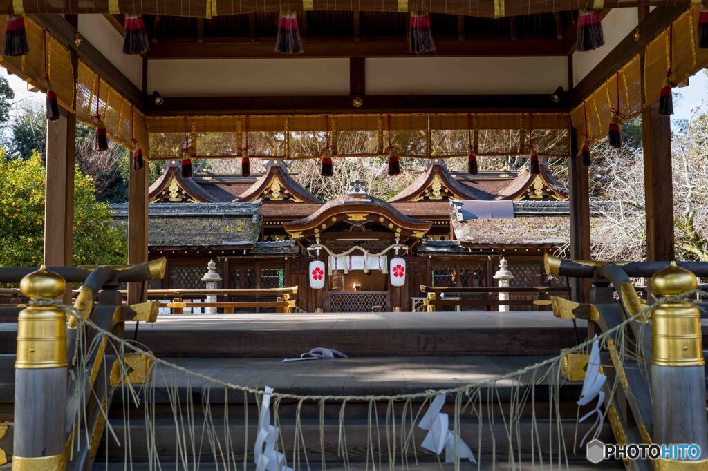 平野神社2