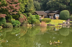 お茶会（転合庵）