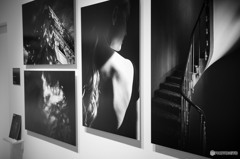 RICOH GR 歴代カタログ写真