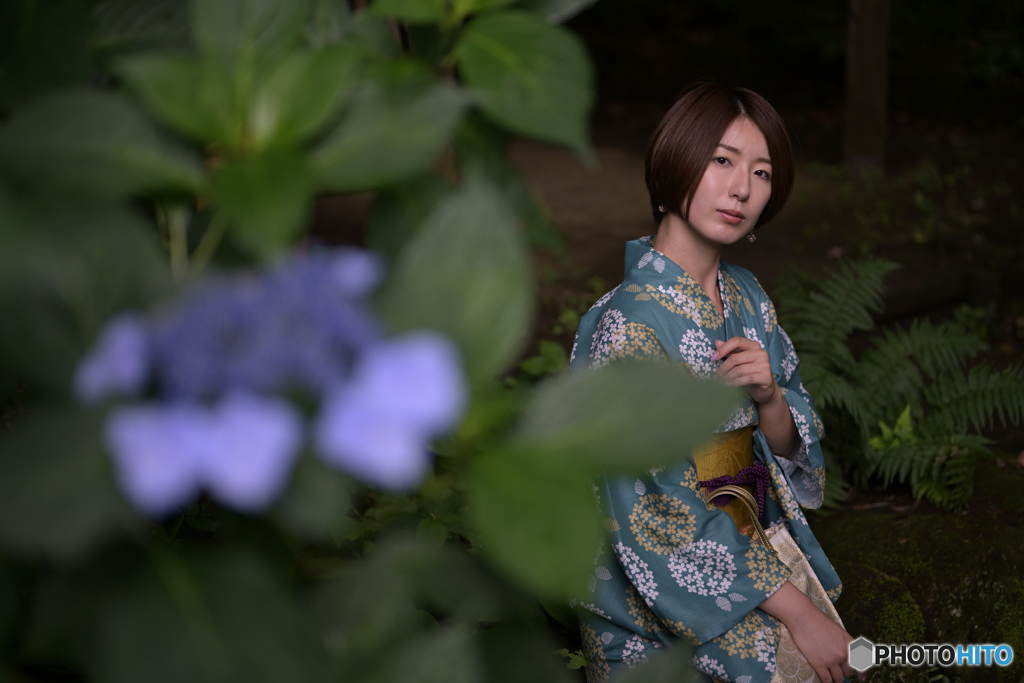 紫陽花とべっぴんさん3