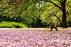 花の絨毯