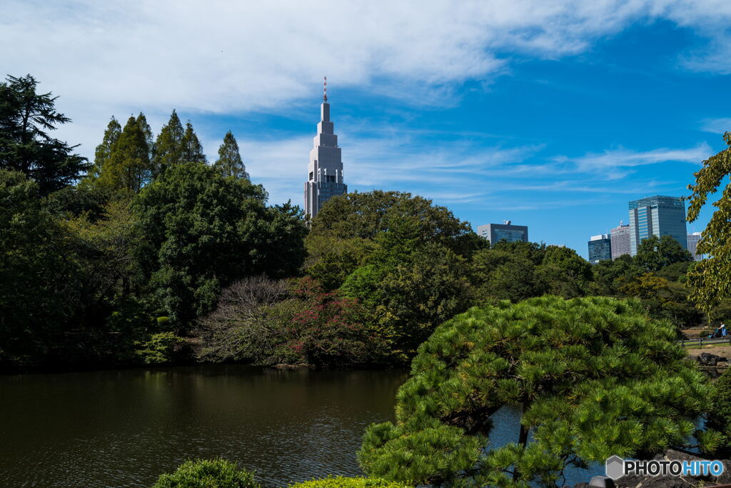 中の池
