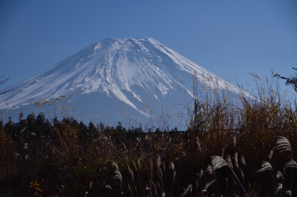 朝霧高原２