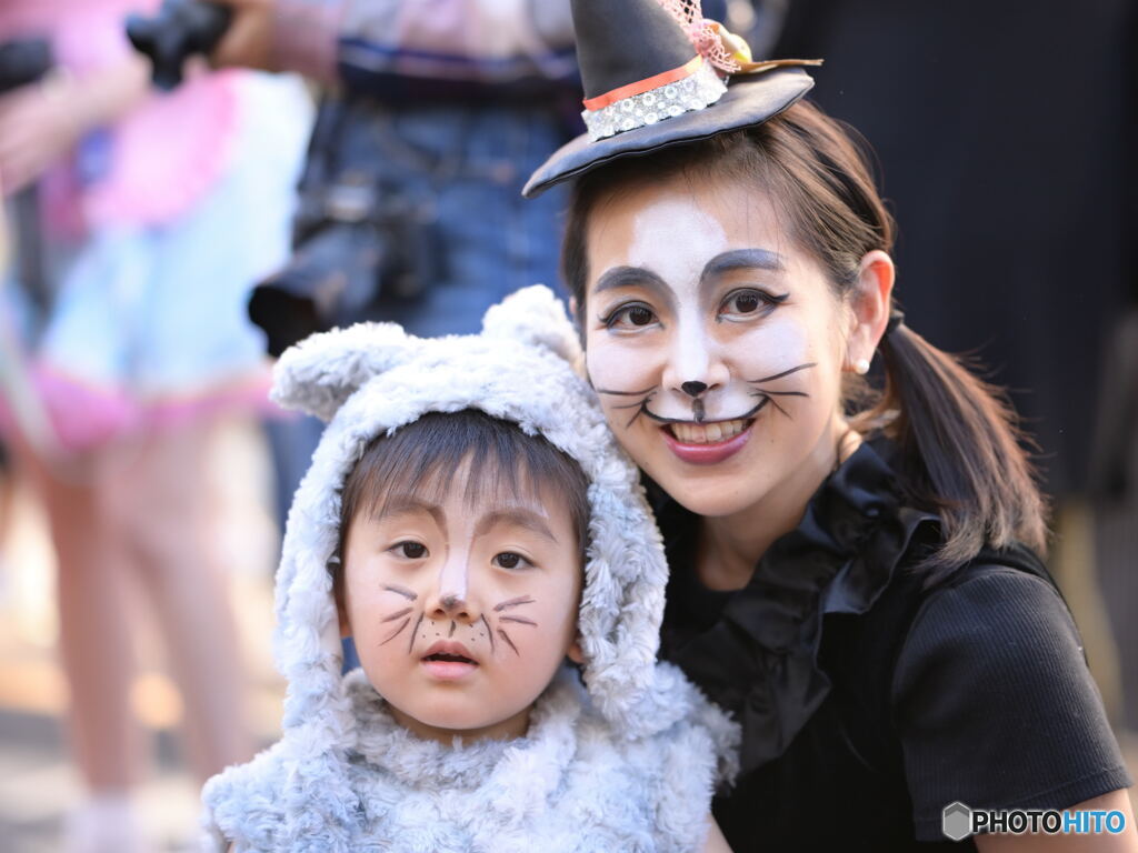 母子猫