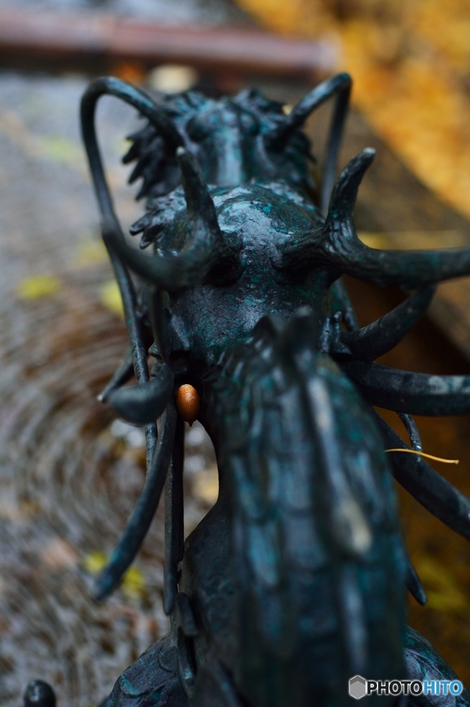 どんぐりコロコロ・・・お鬚にはまって さあ大変