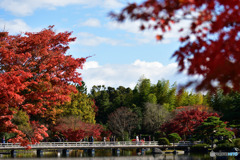 日本庭園