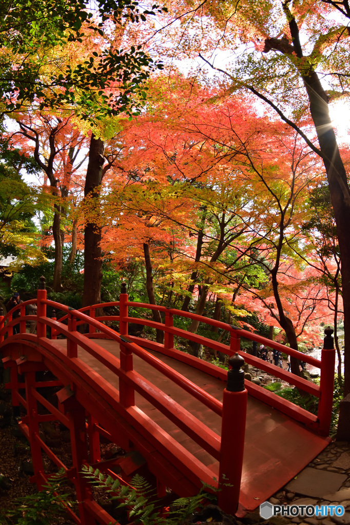 通天橋