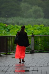 花を探して