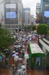 台風なんてヘッチャラだ～い