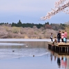田貫湖1