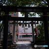 雑司ヶ谷駅下車