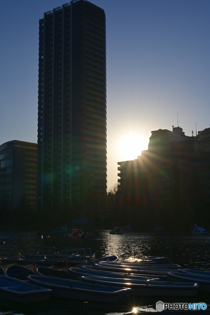 夕闇迫る不忍池4