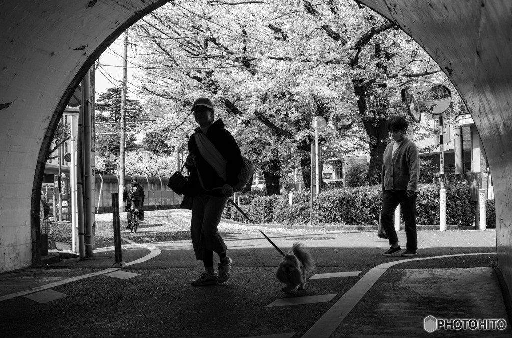 トンネルを往く