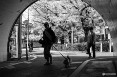 トンネルを往く