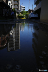 雨上りの散歩道